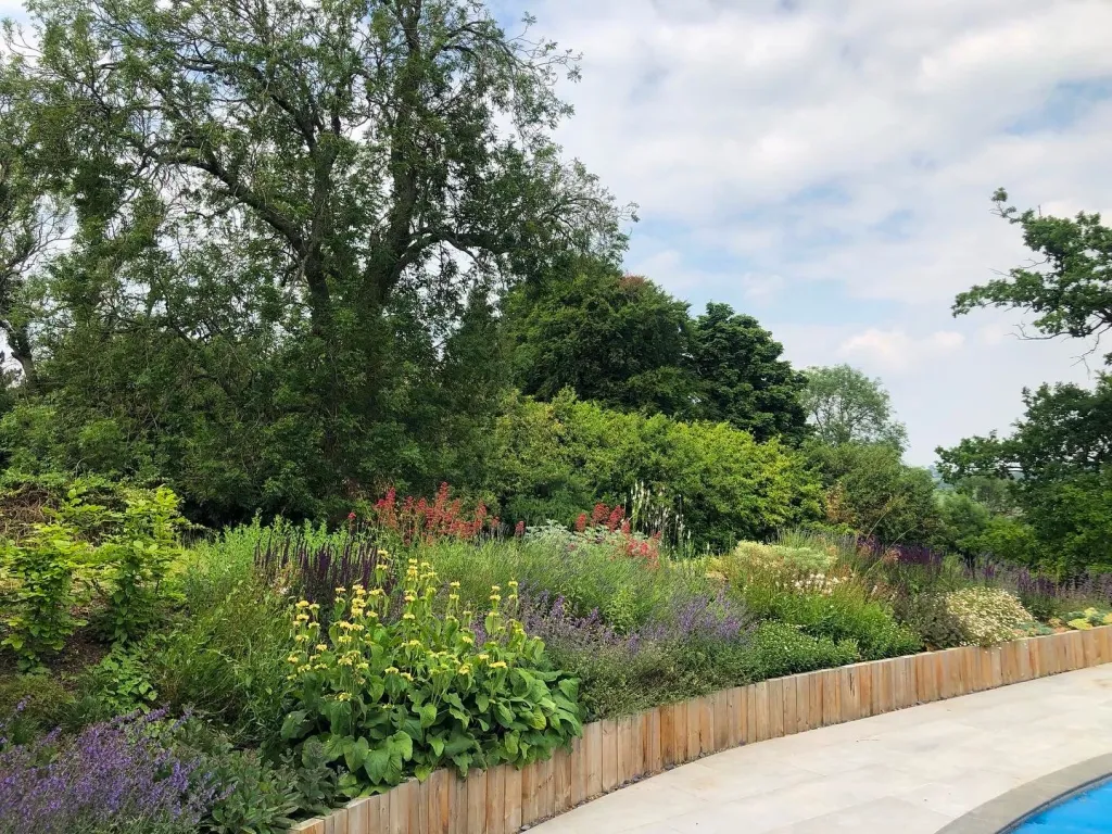 Garden design at Upper Court Road, Woldingham