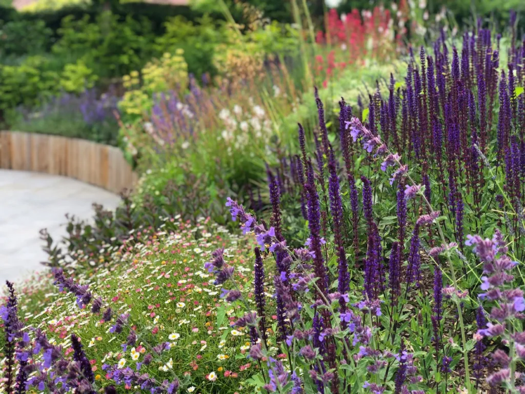 Garden design at Upper Court Road, Woldingham