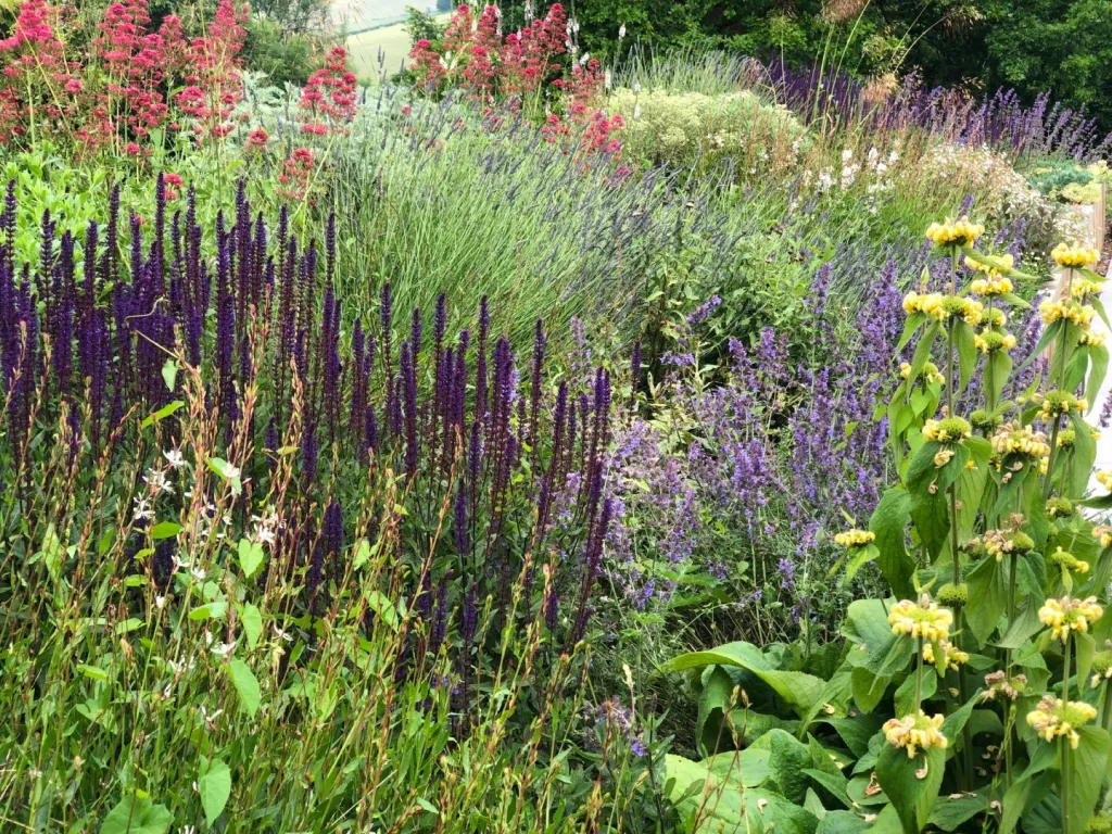 Garden design at Upper Court Road, Woldingham