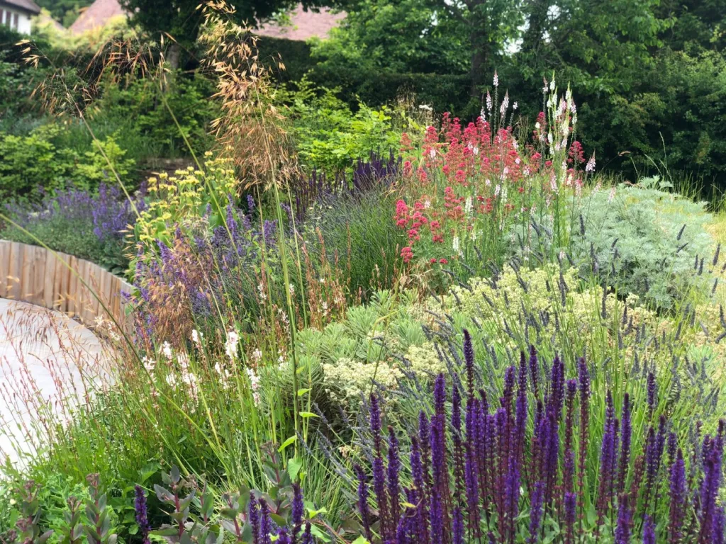 Garden design at Upper Court Road, Woldingham