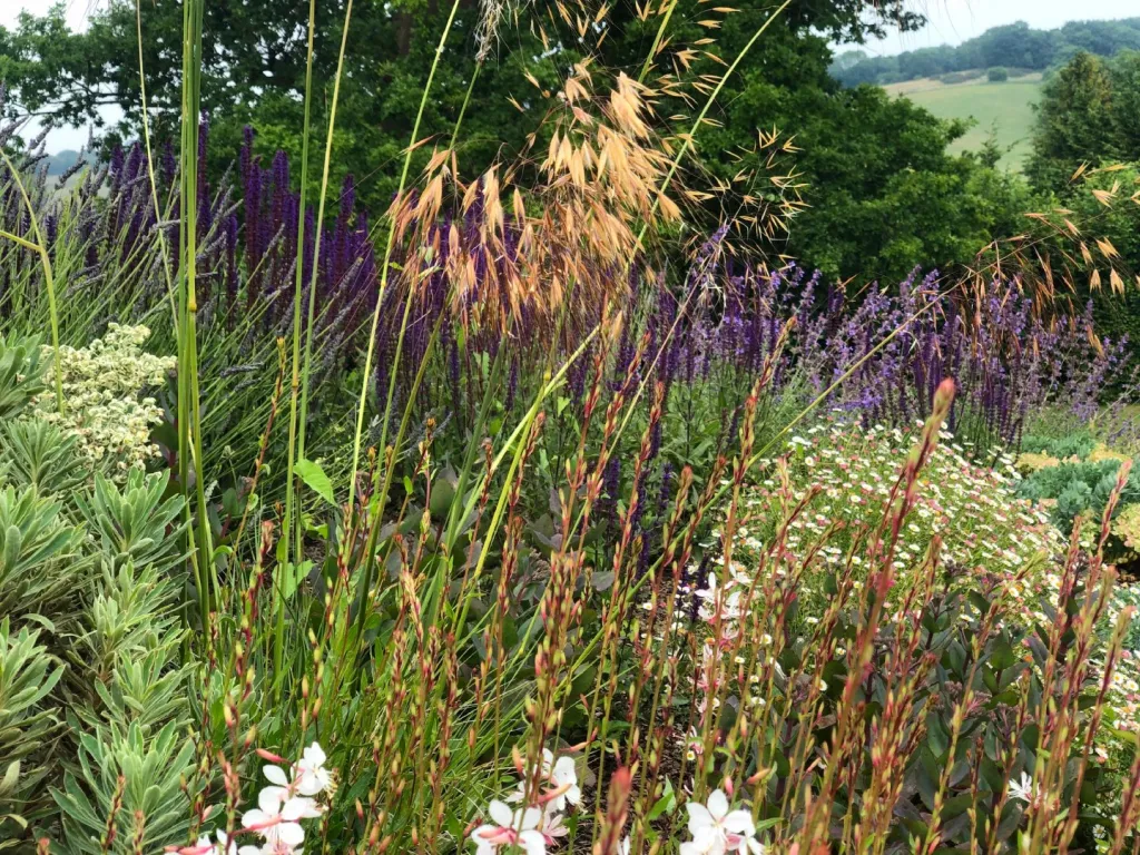 Garden design at Upper Court Road, Woldingham