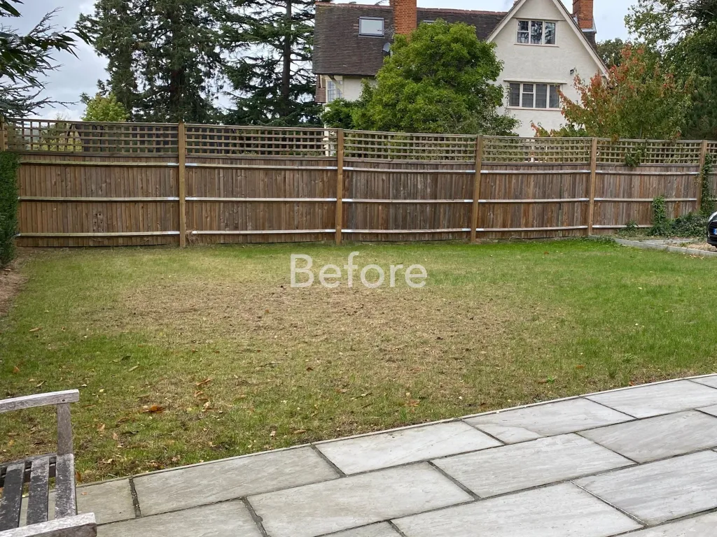 Garden design at Icehouse Wood, Oxted