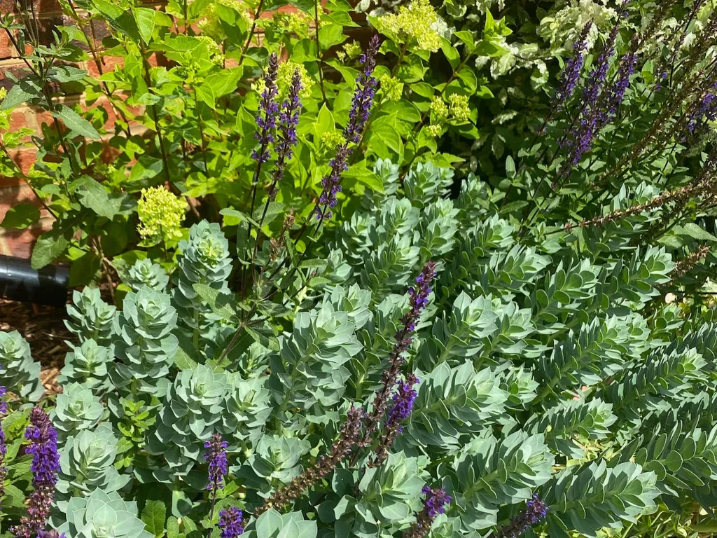 Garden design at Icehouse Wood, Oxted