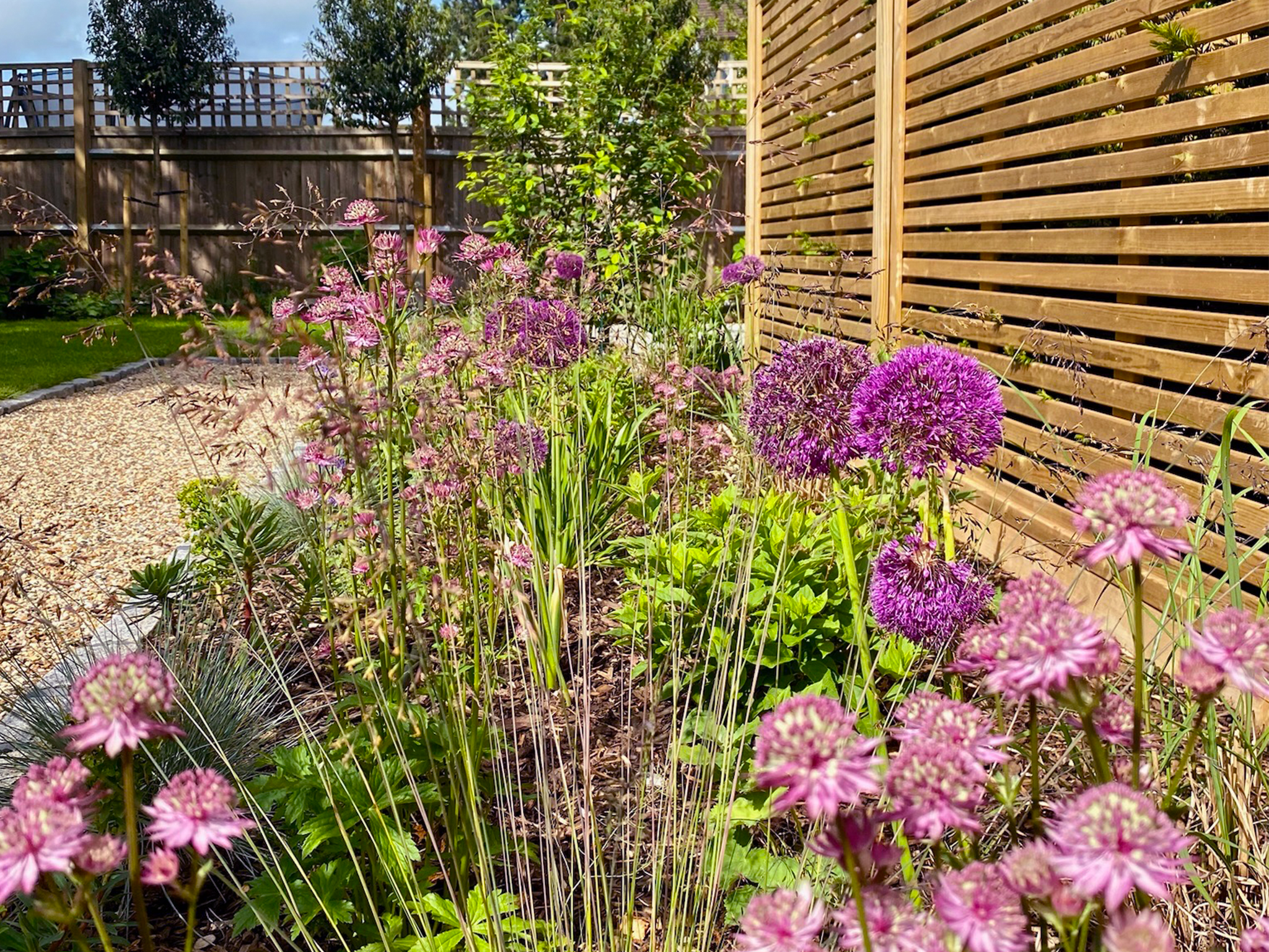 FB9FD536kjhkjh-FF1E-4732-8619-FCA9360C29B5