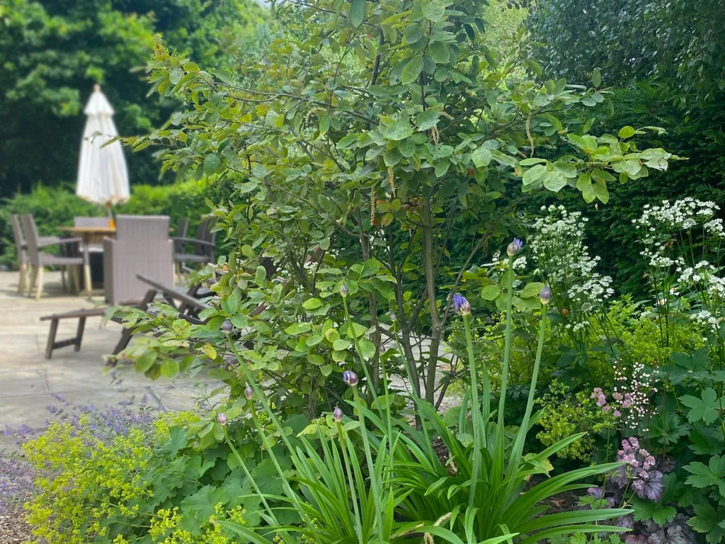 Garden design at Icehouse Wood, Oxted