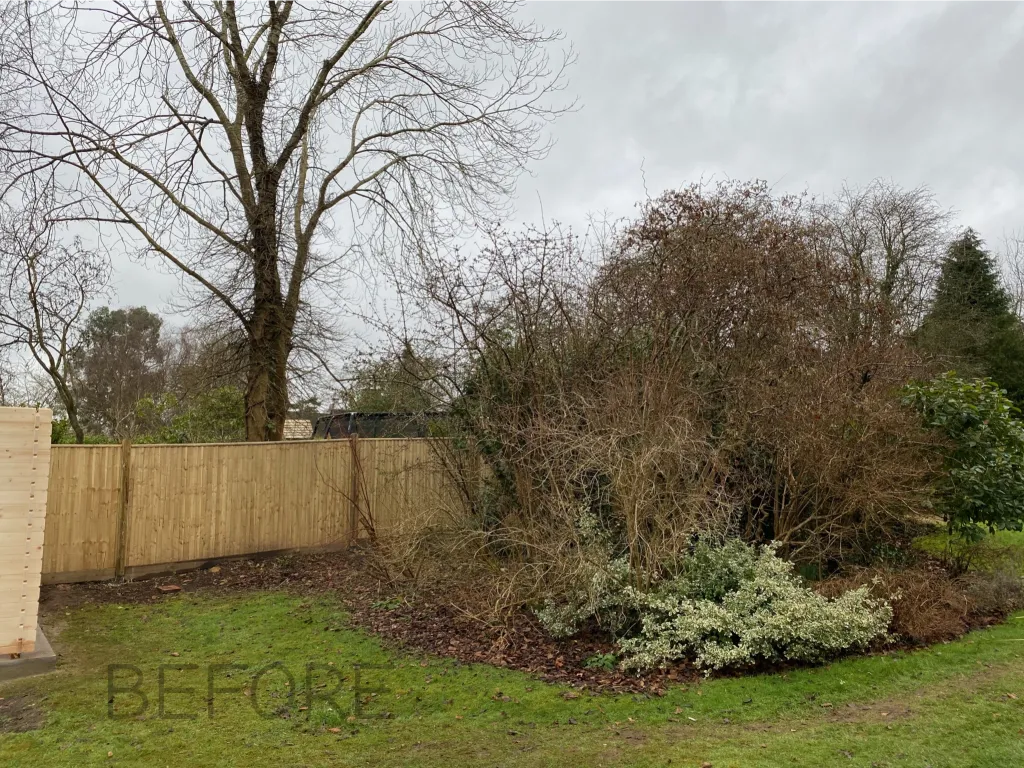 Garden design at Granville Road II, Oxted