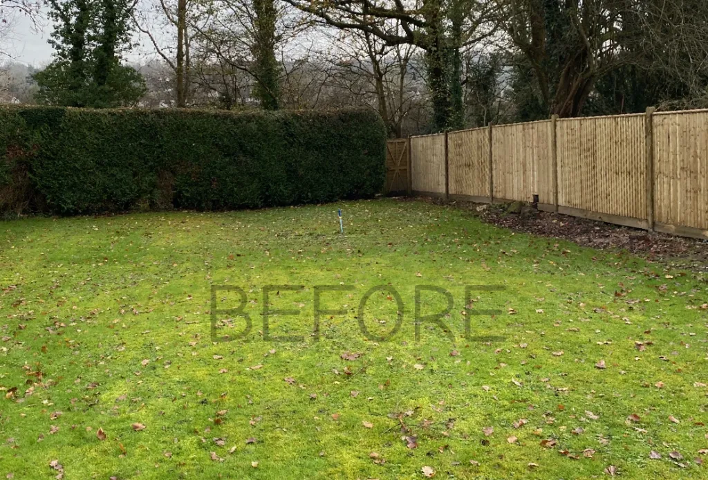Garden design at Granville Road II, Oxted