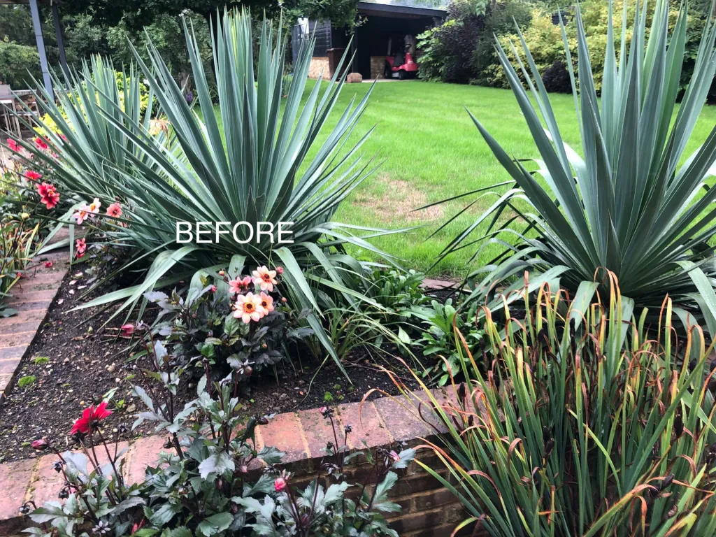 Garden design at Beadles Lane, Old Oxted