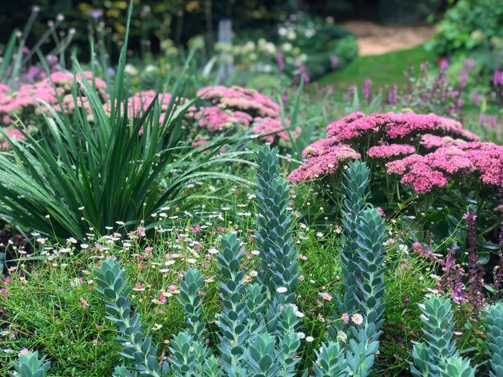 Garden design at Sylvan Place, Limpsfield