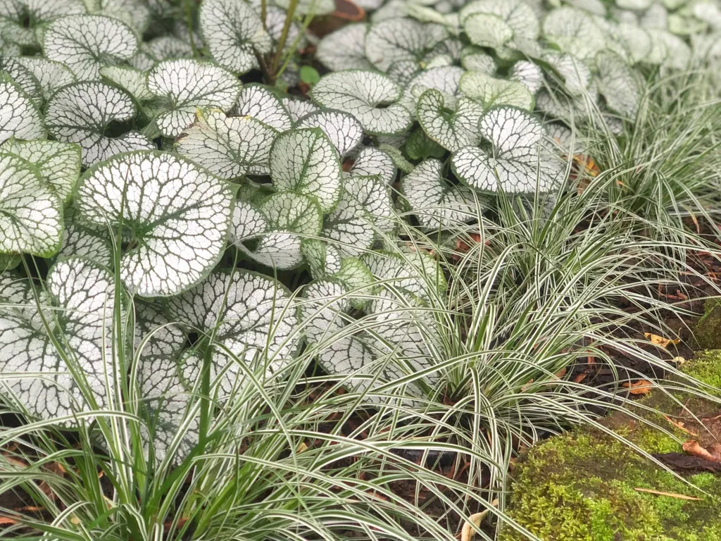 Garden design at Sylvan Place, Limpsfield