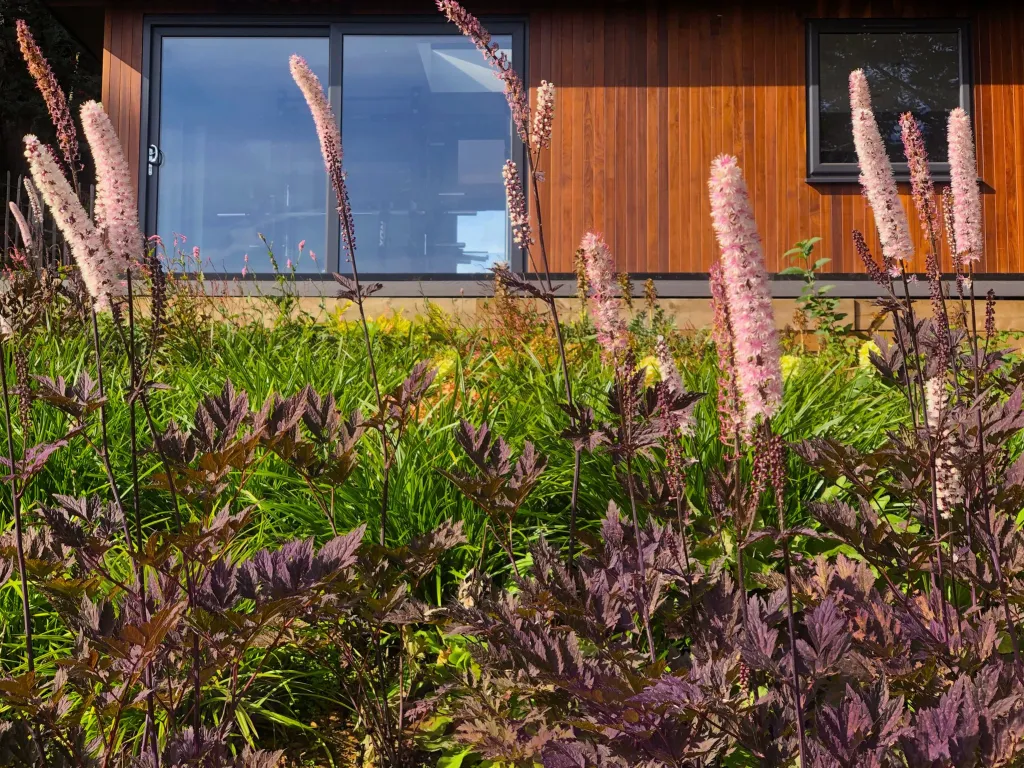 Garden design at Bushey Croft, Oxted