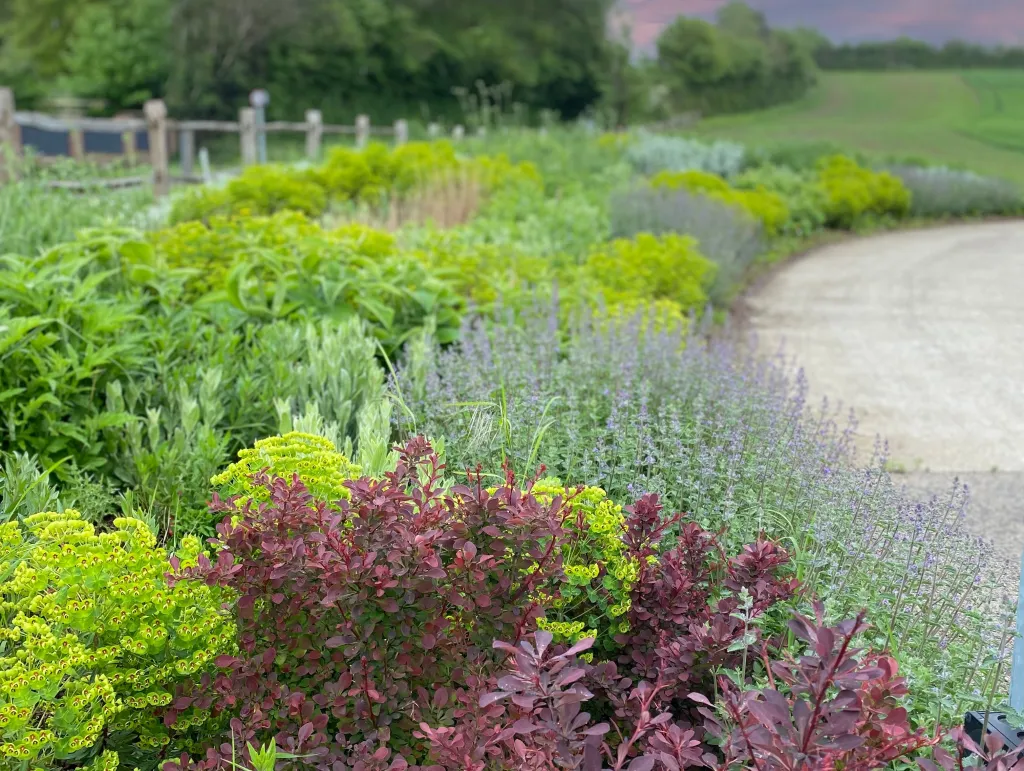 Garden design at Darenth Hill