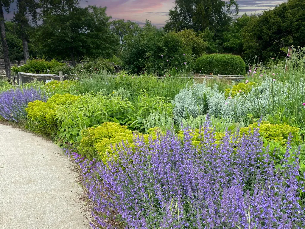 Garden design at Darenth Hill