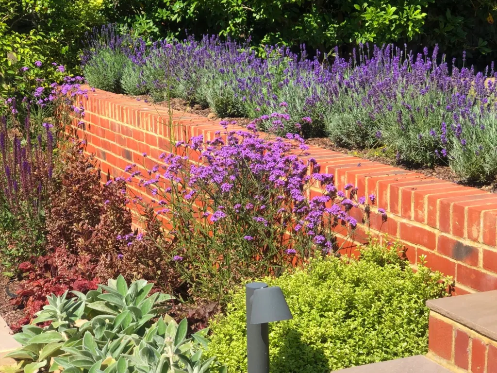 Garden design at Granville Road  I, Oxted
