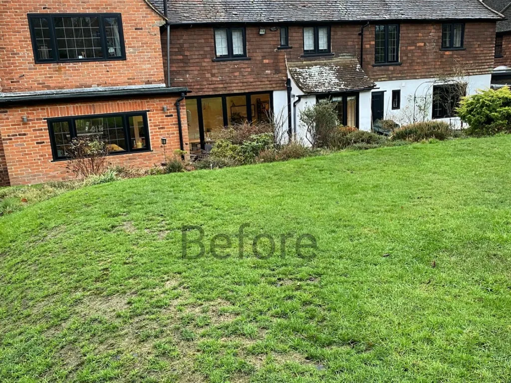 Garden design at Granville Road  I, Oxted