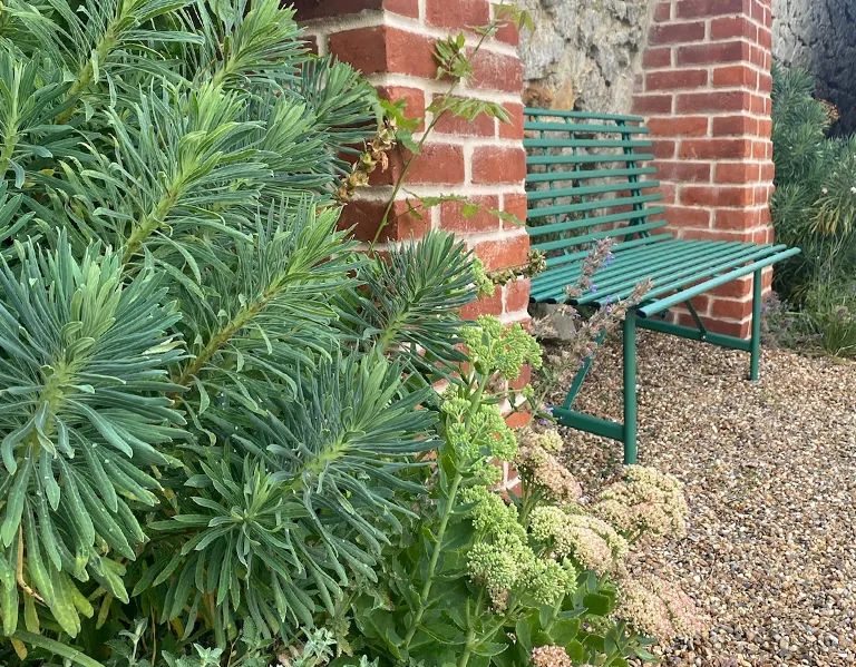 Garden design at Ivy Mill Lane, Godstone