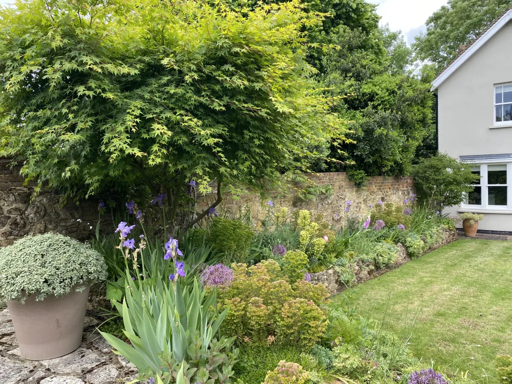 Garden design at Beadles Lane, Old Oxted