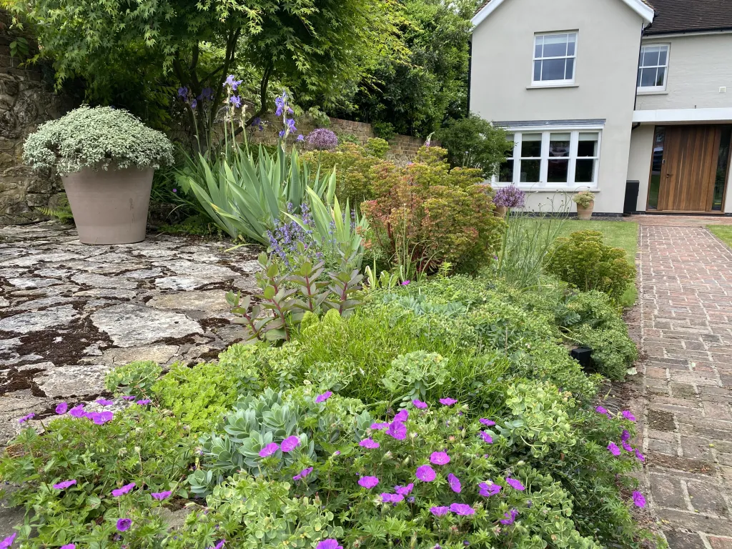 Garden design at Beadles Lane, Old Oxted