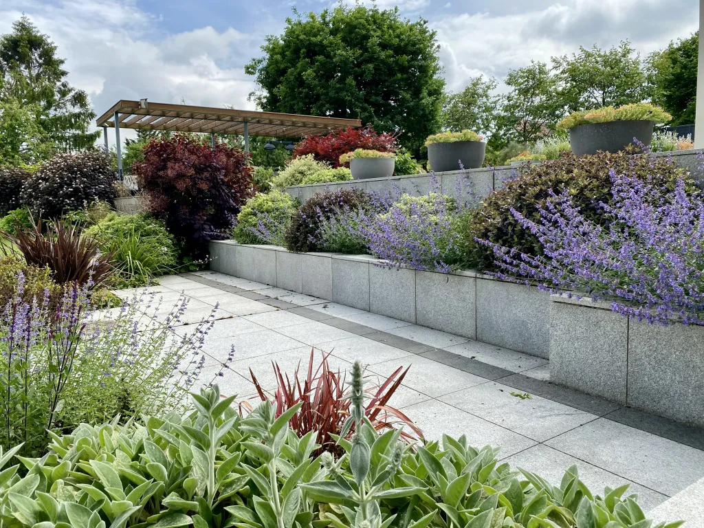 Garden design at Beadles Lane, Old Oxted