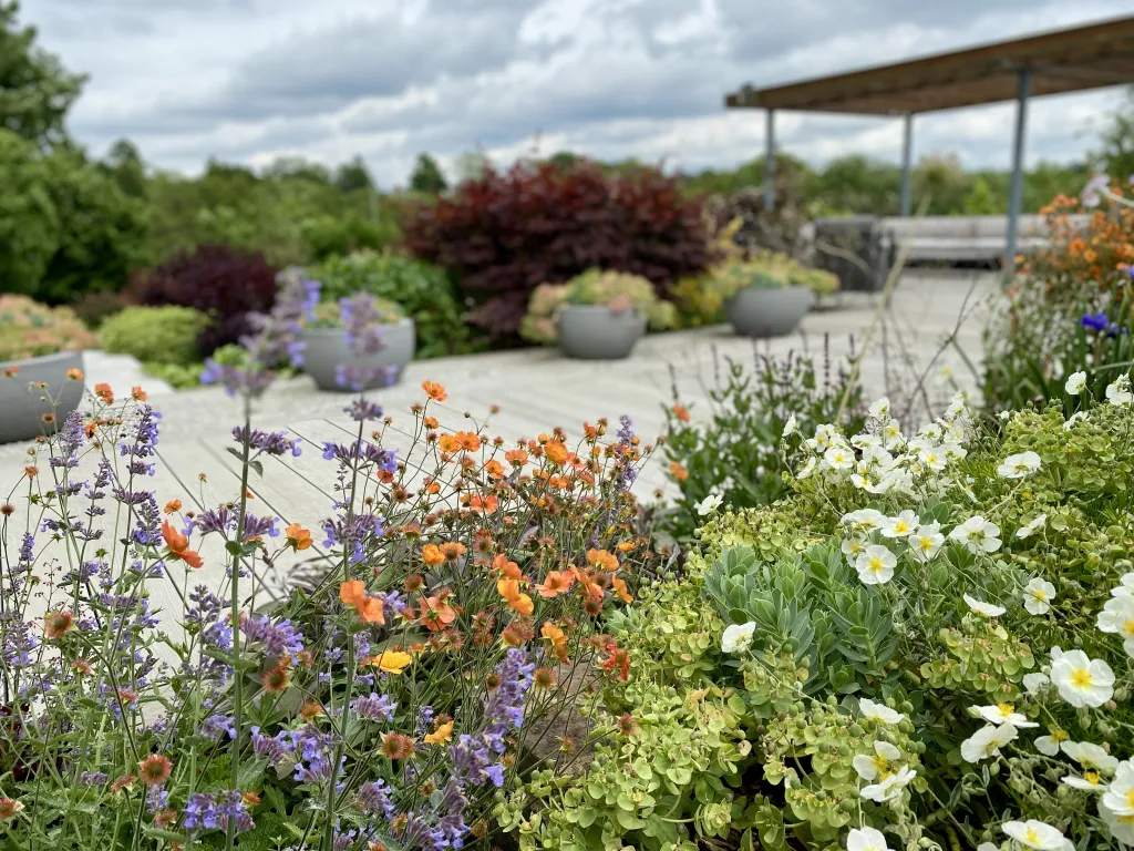 Garden design at Beadles Lane, Old Oxted
