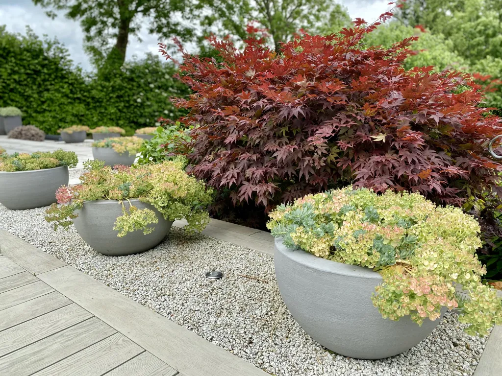 Garden design at Beadles Lane, Old Oxted