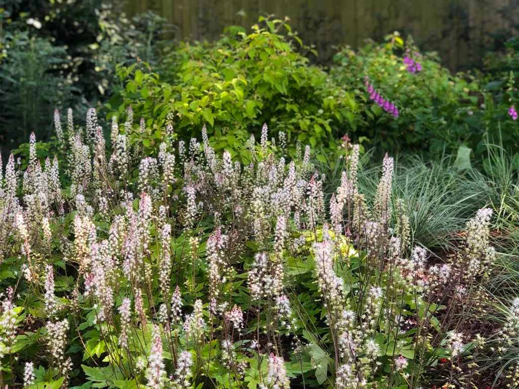 Garden design at Neb Lane, Oxted