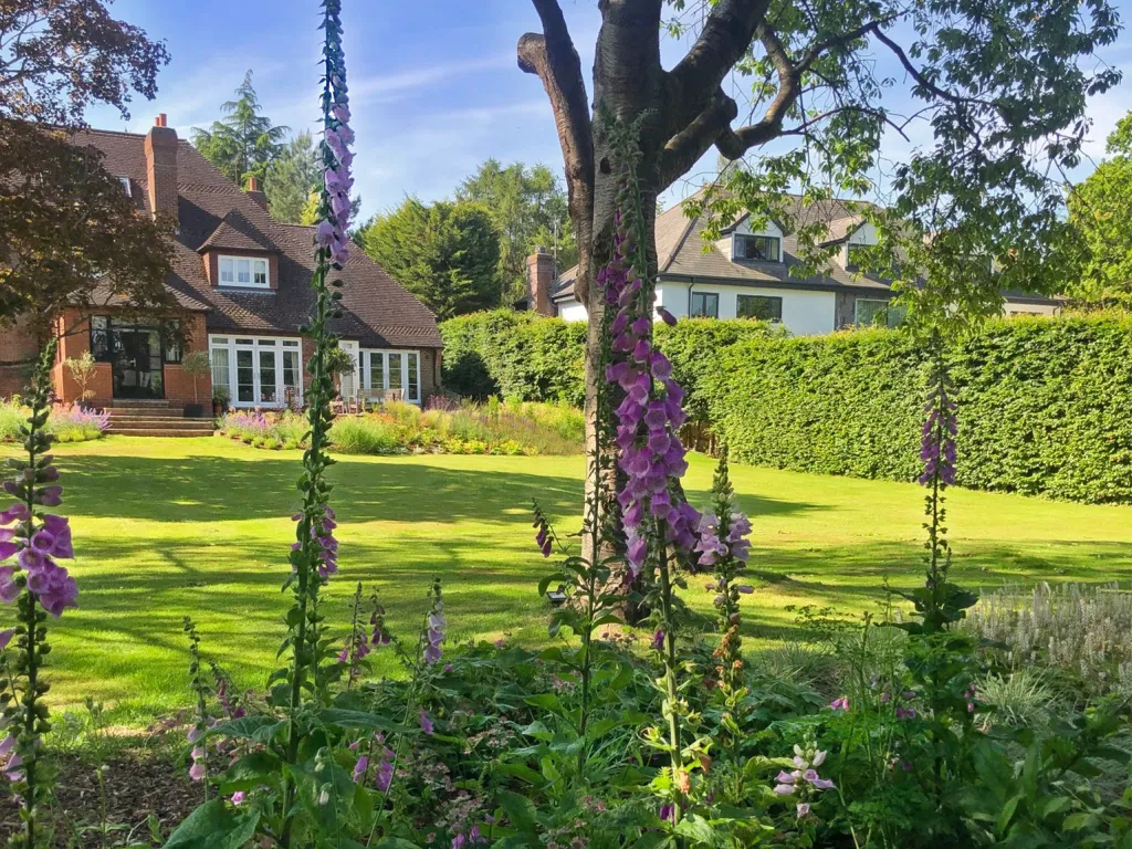 Garden design at Neb Lane, Oxted