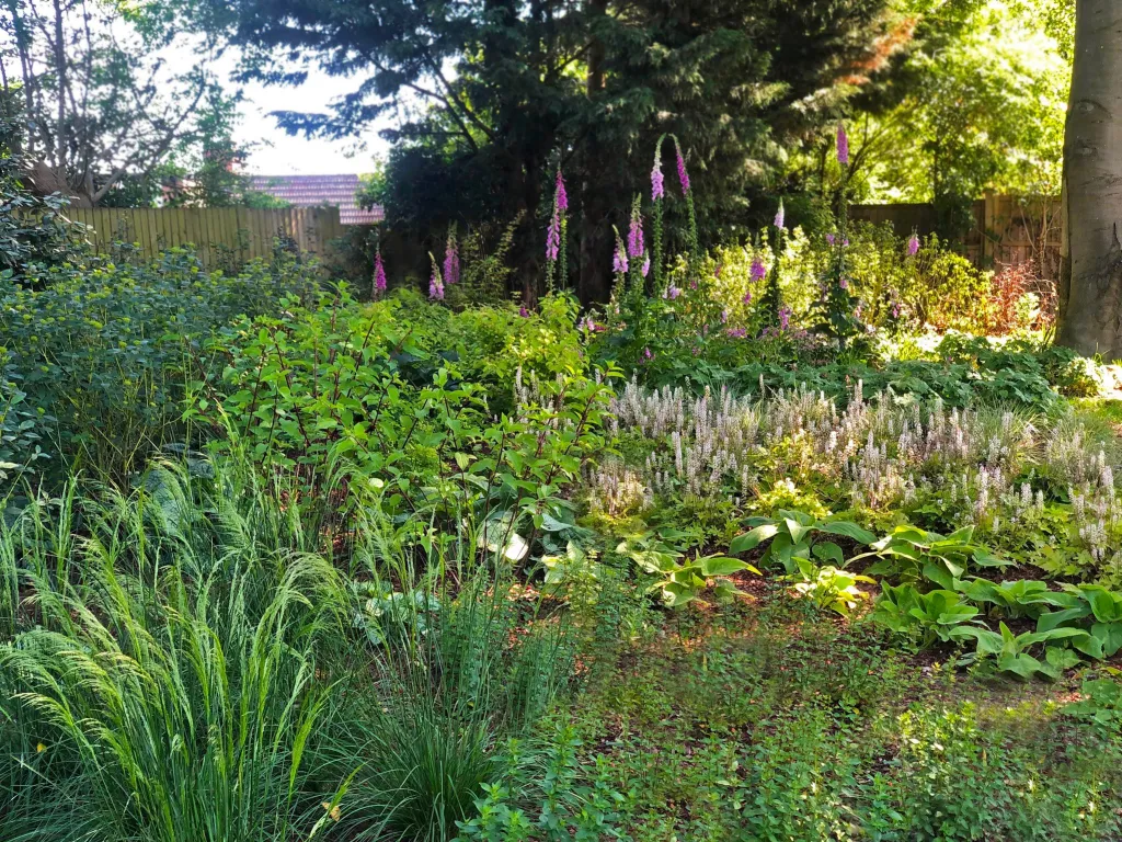 Garden design at Neb Lane, Oxted