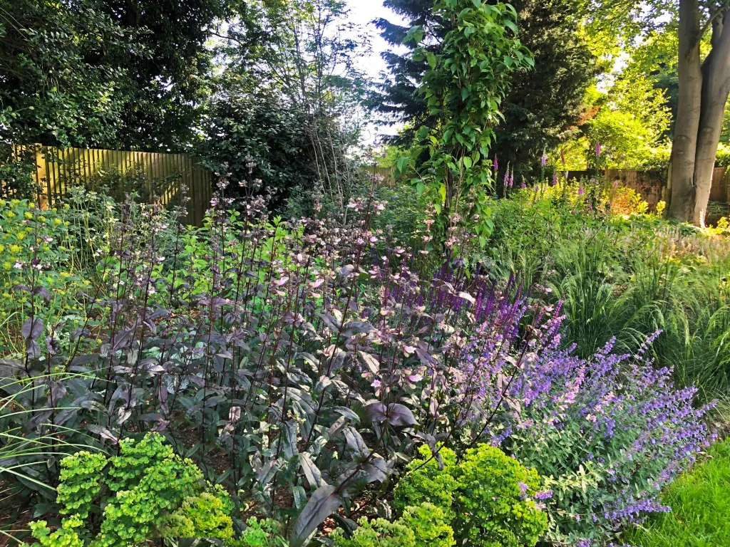 Garden design at Neb Lane, Oxted