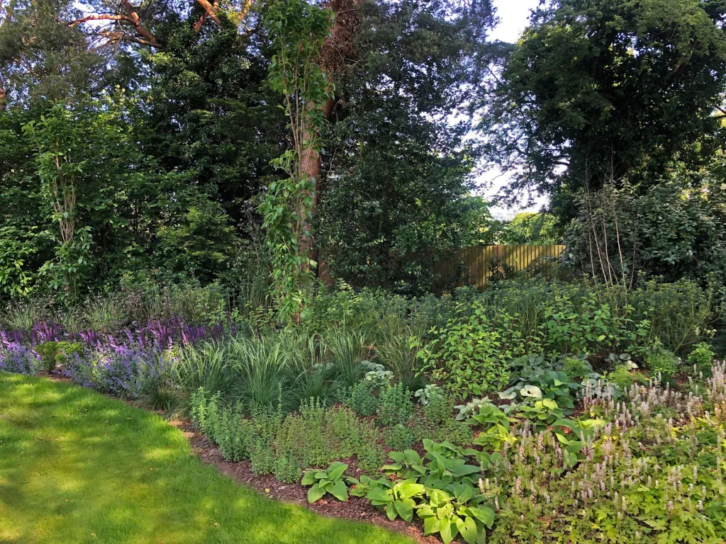 Garden design at Neb Lane, Oxted