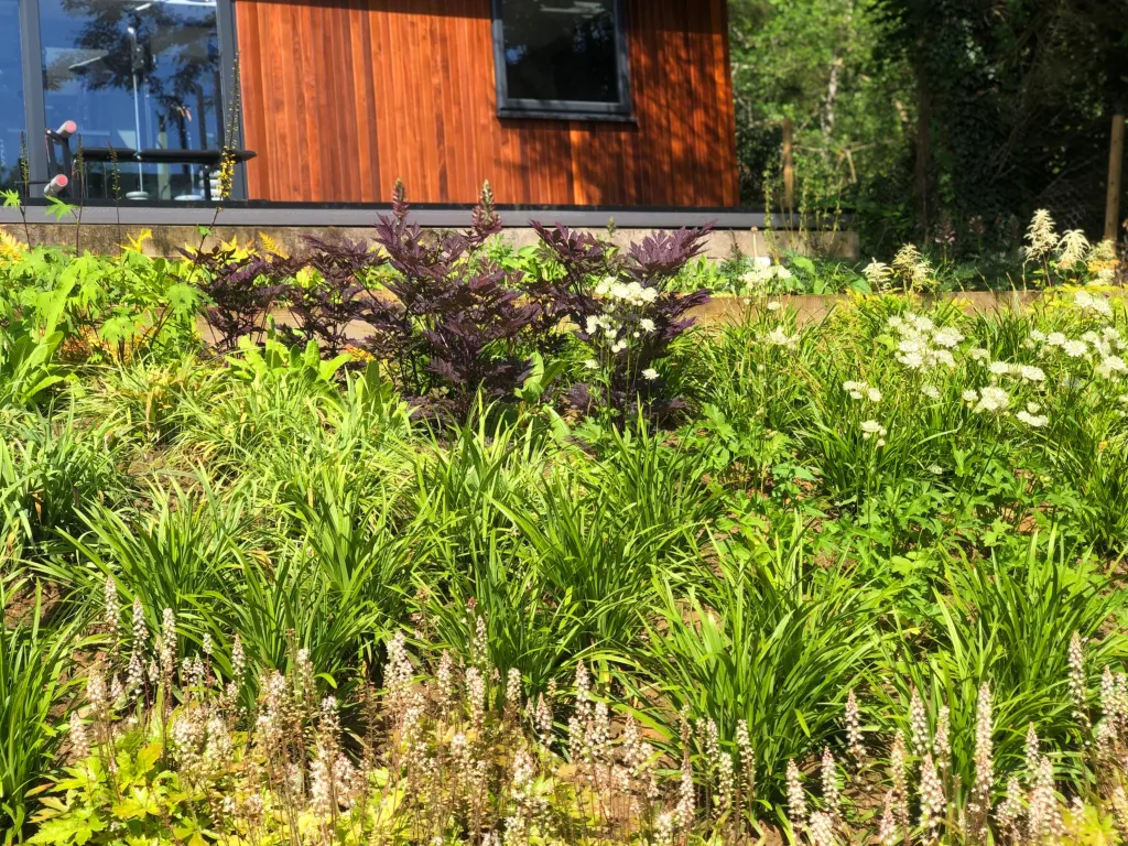 Garden design at Bushey Croft, Oxted