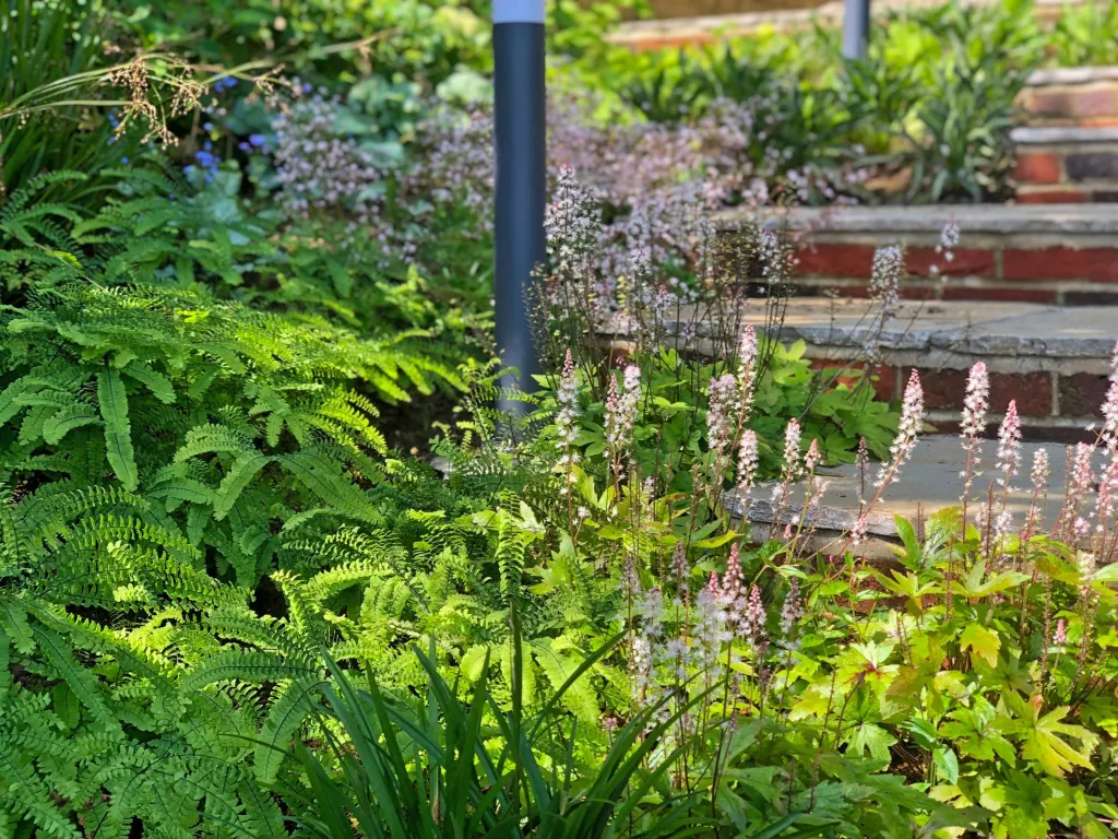 Garden design at Bushey Croft, Oxted
