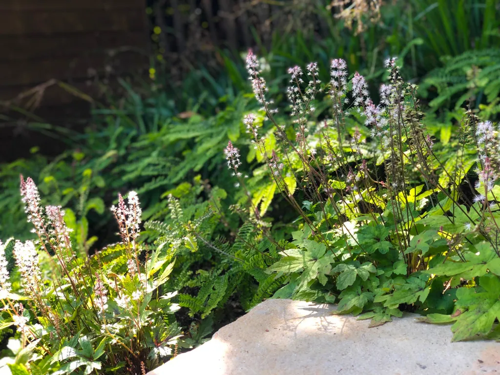 Garden design at Bushey Croft, Oxted