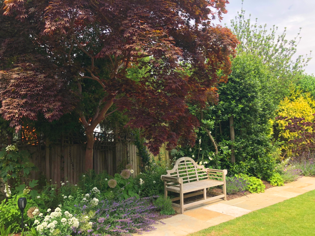 Our Gardens Sally Casley Garden Design