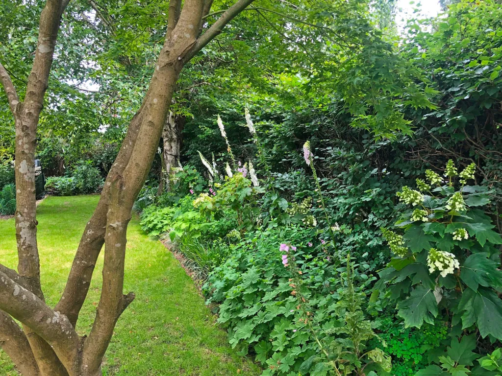 Garden design at Gresham Road, Oxted