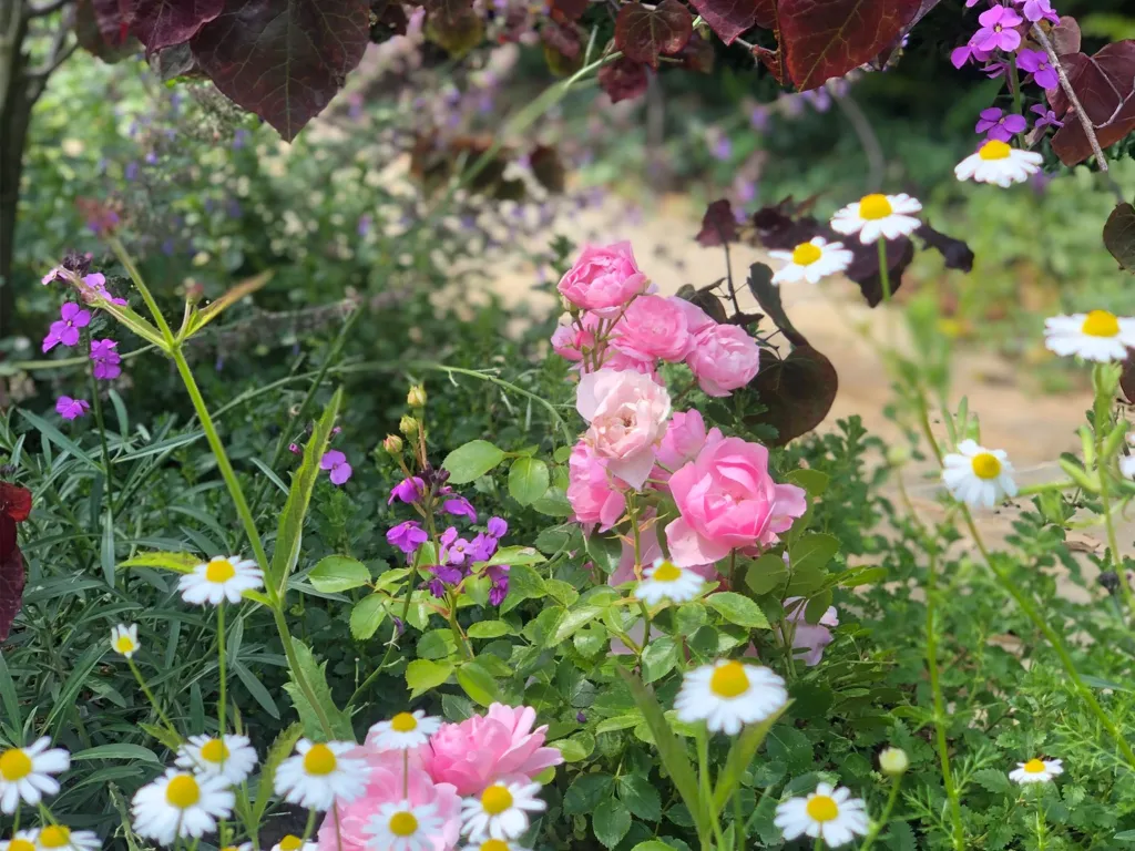 Garden design at Gresham Road, Oxted