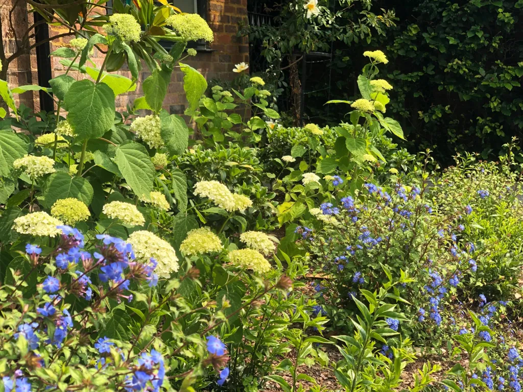Garden design at Gresham Road, Oxted