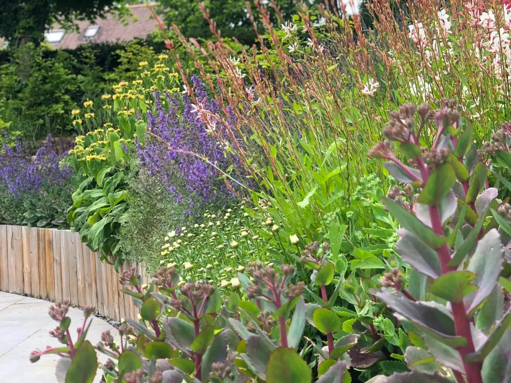 Garden design at Upper Court Road, Woldingham