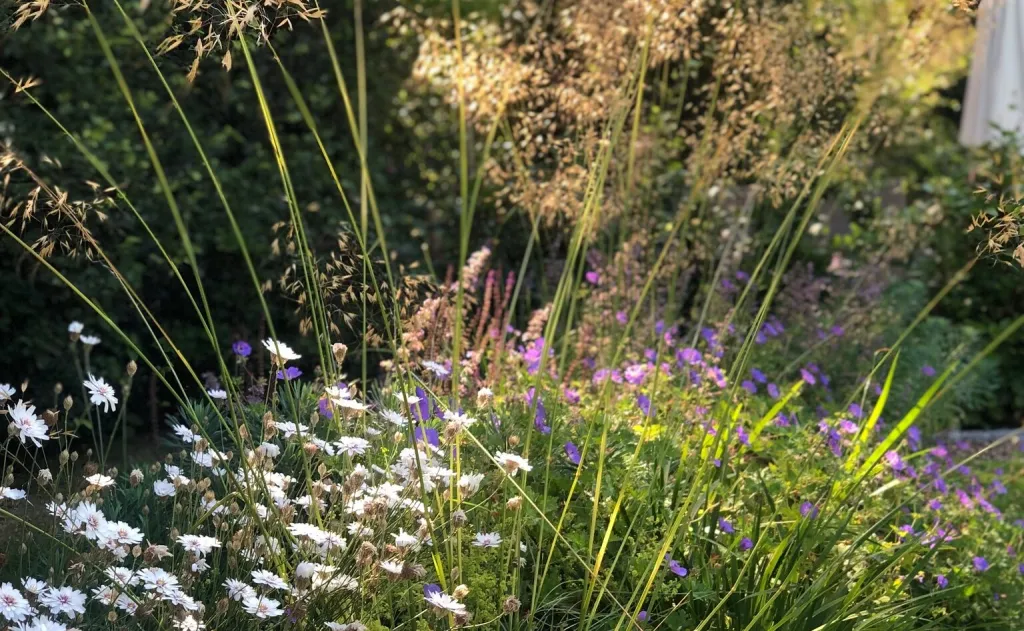 Garden design at Granville Road II, Oxted