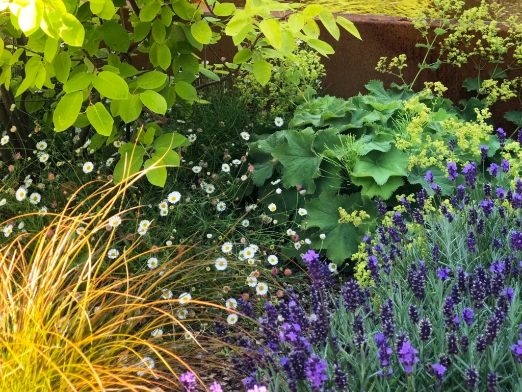 Garden design at Granville Road  I, Oxted