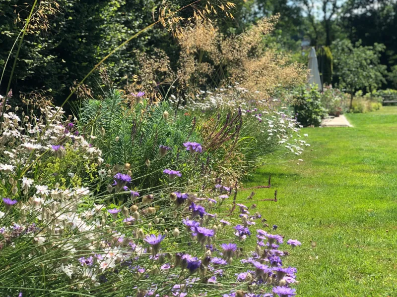 Garden design at Granville Road II, Oxted
