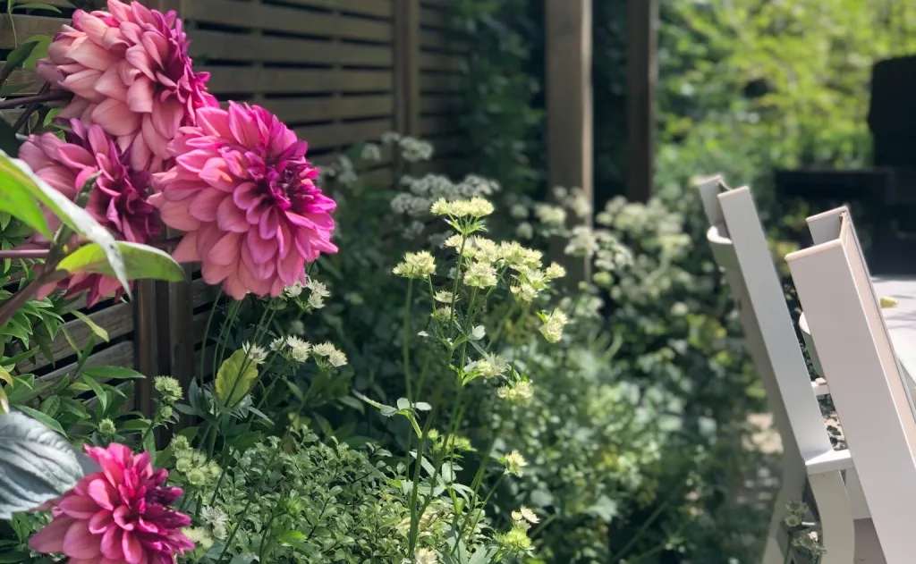 Garden design at Granville Road II, Oxted