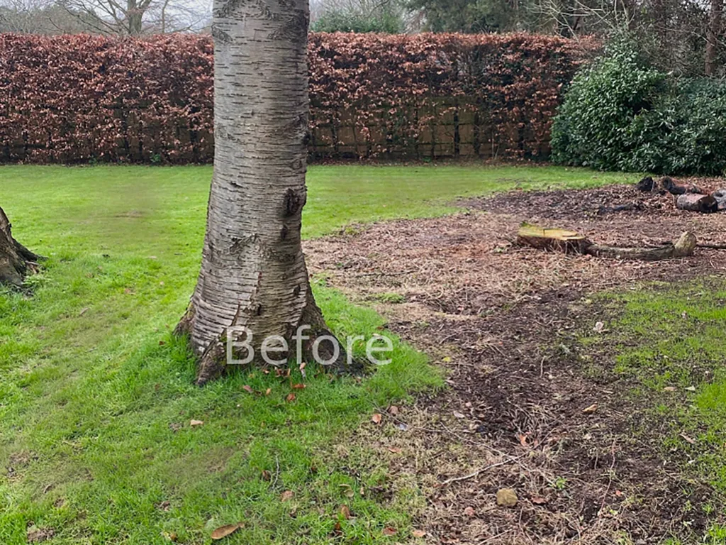 Garden design at Neb Lane, Oxted