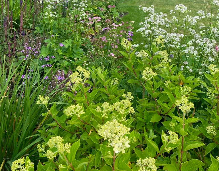Garden design at Ivy Mill Lane, Godstone