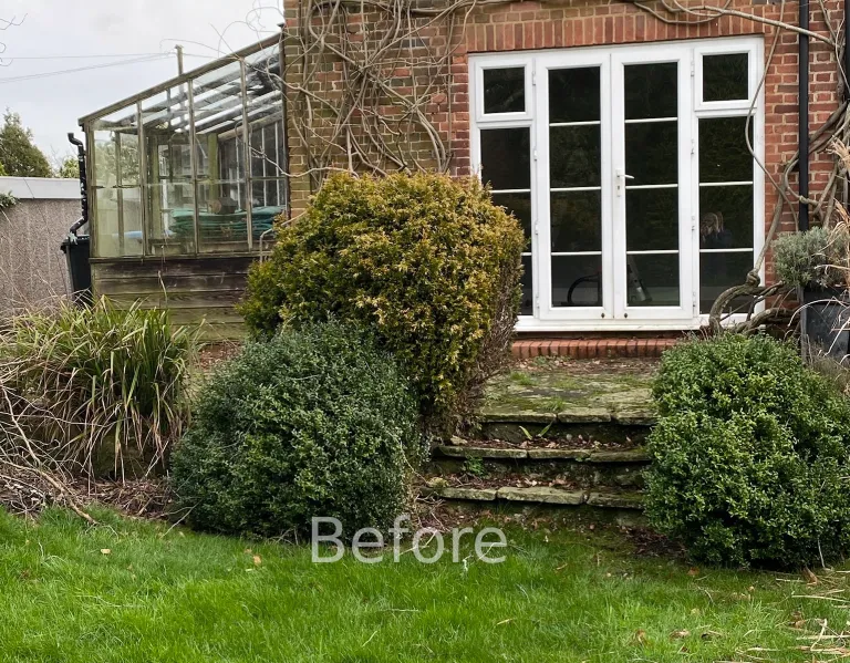 Garden design at Ivy Mill Lane, Godstone