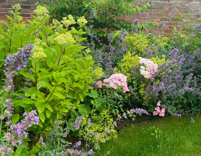 Garden design at Ivy Mill Lane, Godstone