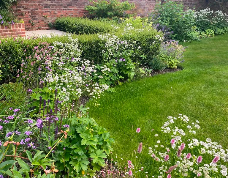 Garden design at Ivy Mill Lane, Godstone
