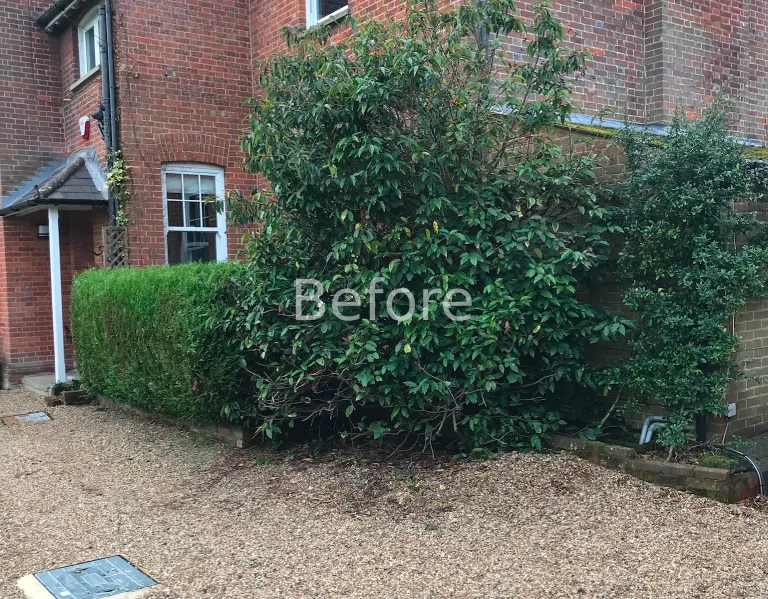 Garden design at Ivy Mill Lane, Godstone