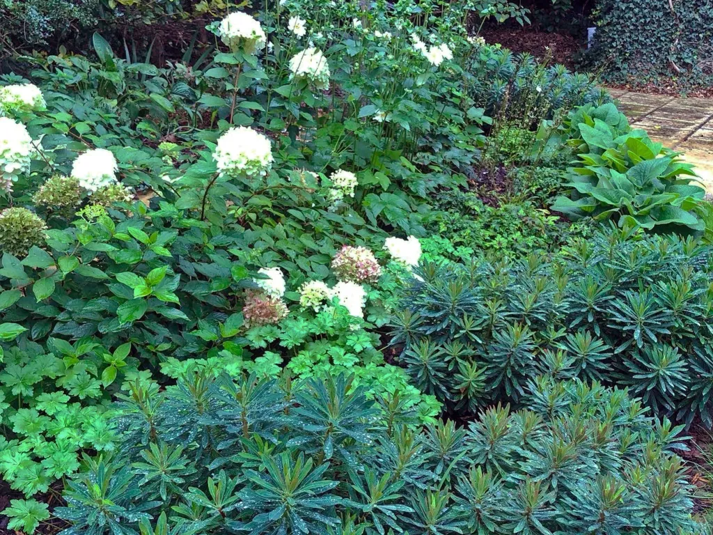 Garden design at Sylvan Place, Limpsfield