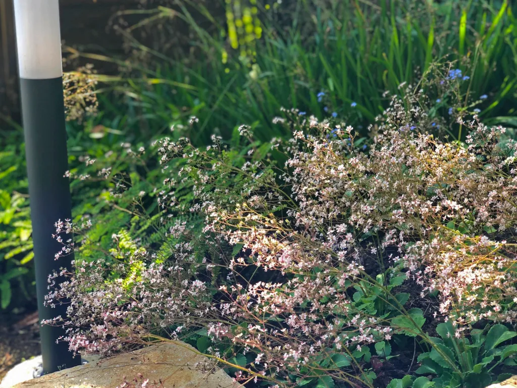 Garden design at Bushey Croft, Oxted